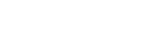 logo w2x